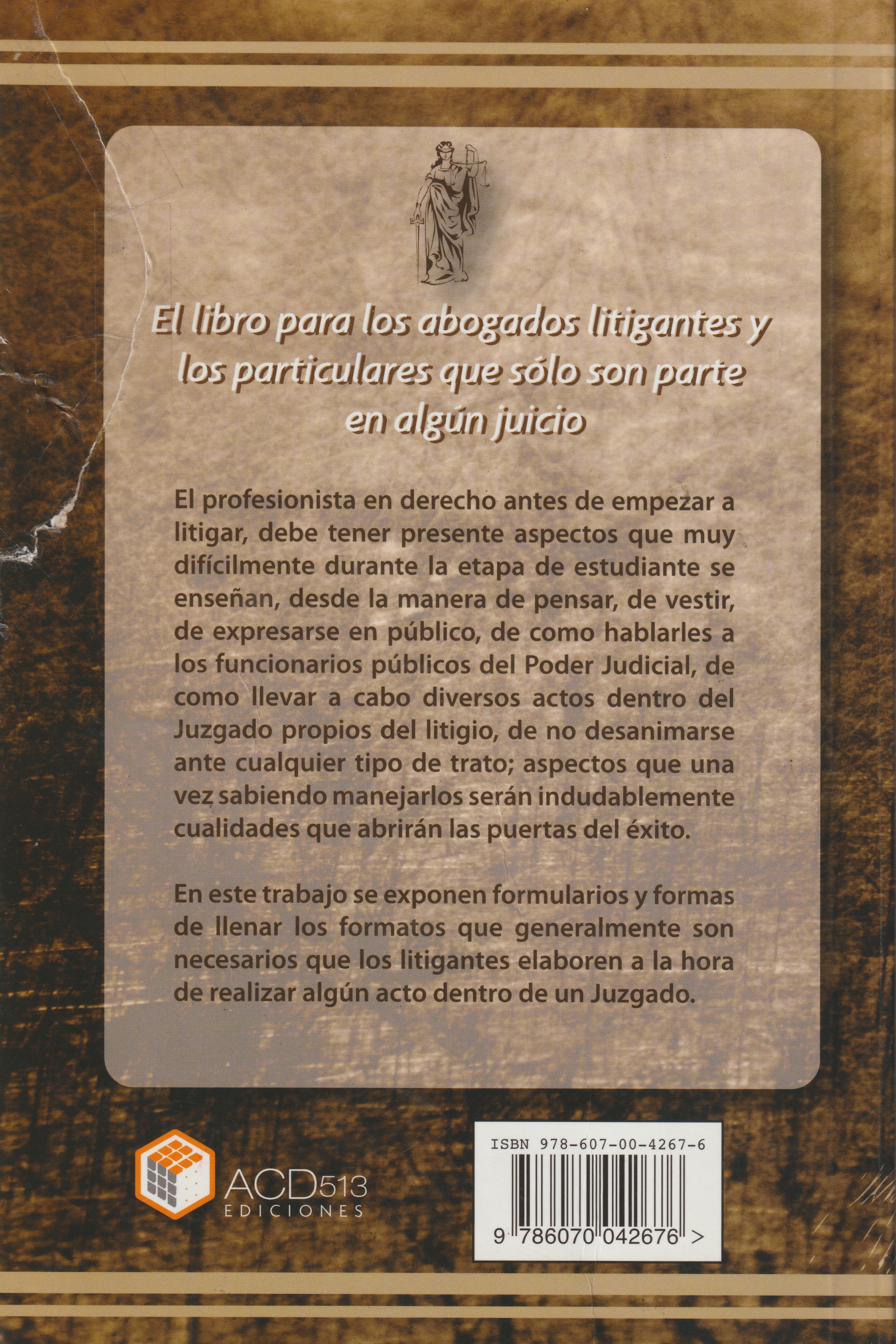 Contraportada de La Práctica de la Práctica en el Órgano Jurisdiccional