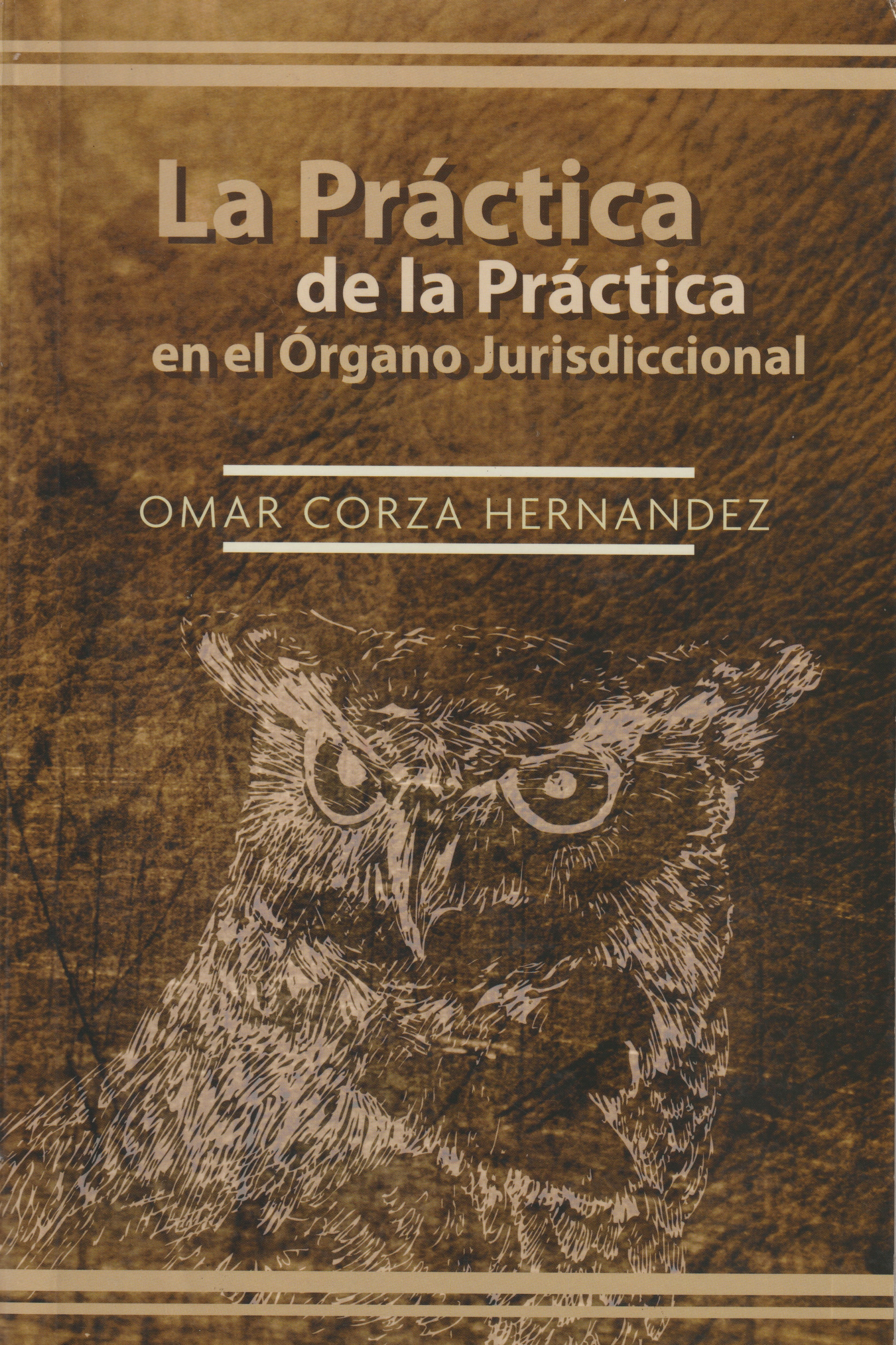 Portada de La Práctica de la Práctica en el Órgano Jurisdiccional